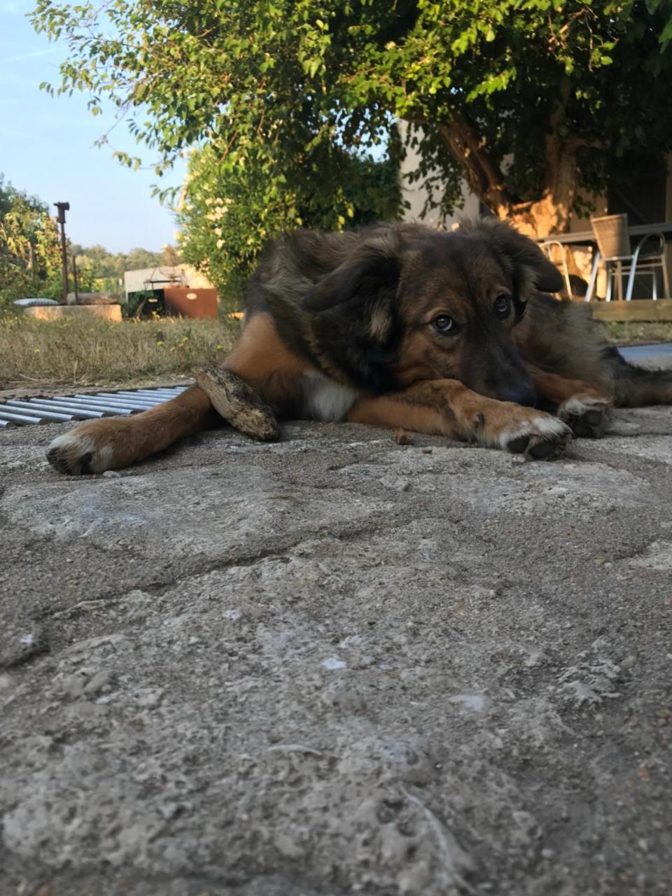 A Loghja Di Cavallo Morto Bonifacio  Exterior foto